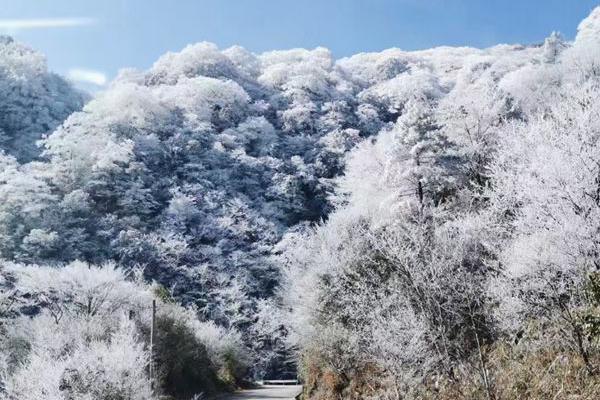 等雪的心情：既怕它不来，又怕它乱来