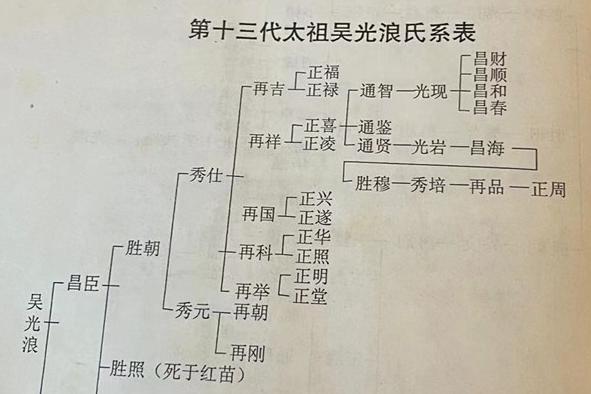 广西凌云县加尤乡百陇村坳上屯吴氏宗支