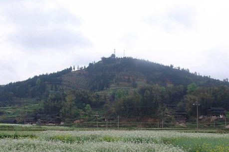 元田第一景：宝鼎界宝塔