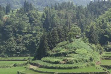 元田第四景：庙盘坡太阳庵