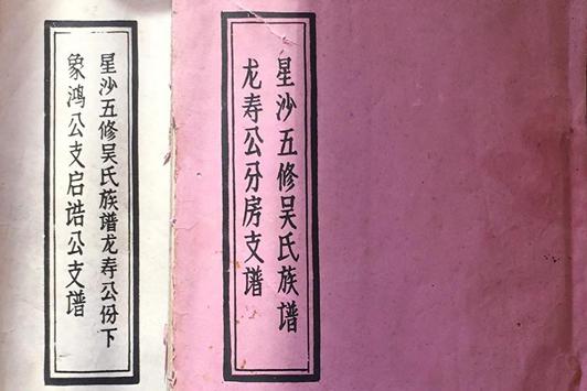 《星沙五修吴氏族谱》研究