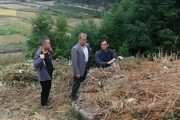 政汉公八子后裔寻根的故事