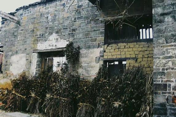 儿时砍柴记忆新