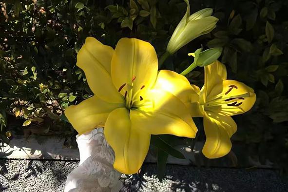 “爱你老己”：2025年末爆火的热梗，藏着一代人的自我救赎