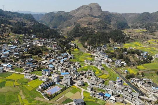 岁月平定，司城风华