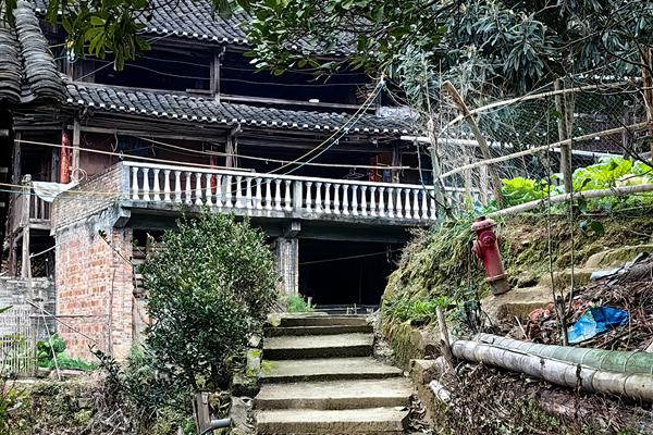 为何非要回老家过年？