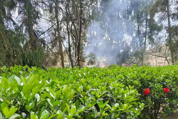 真的，别再逼i人变e了