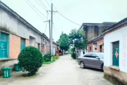 舌尖上的故园：刘河汗粑粑忆旧