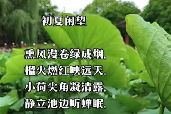 初夏闲望