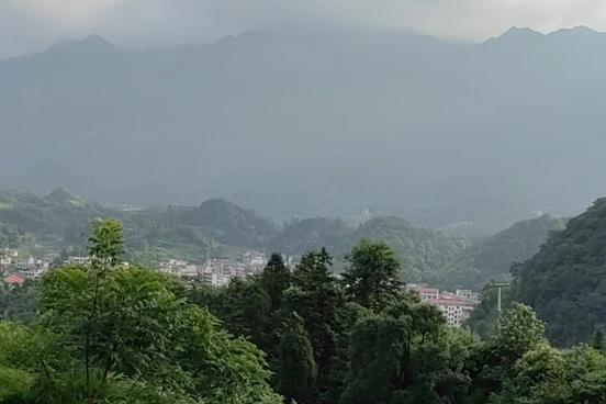 端阳公卫行
