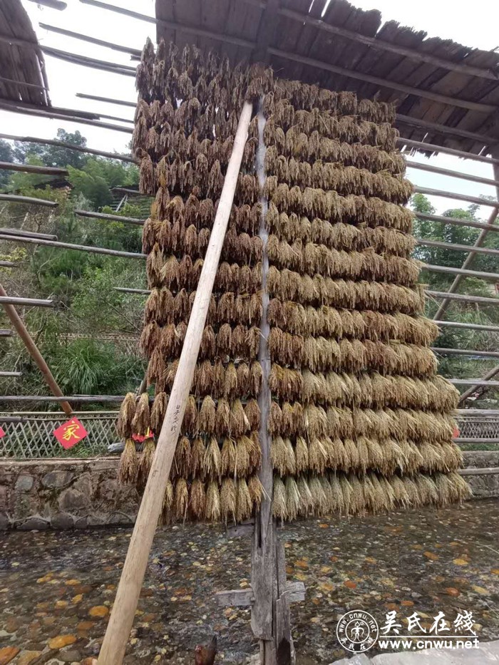 神秘占里，吴占和吴里开发的侗寨吴村