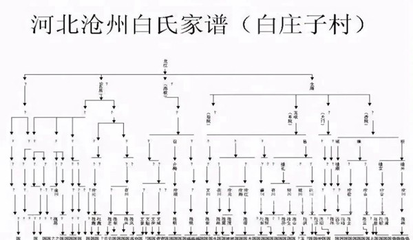 立志光宗耀祖？你需要先了解一下家谱