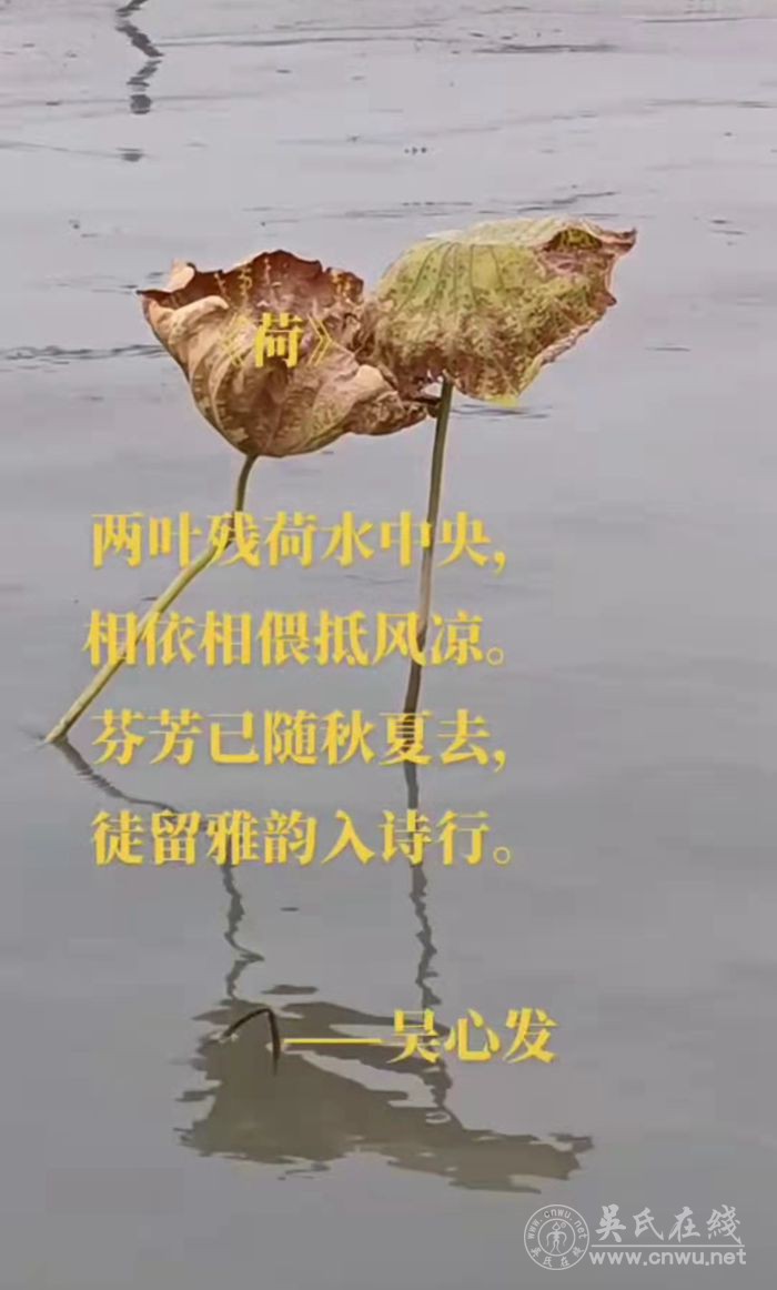 荷