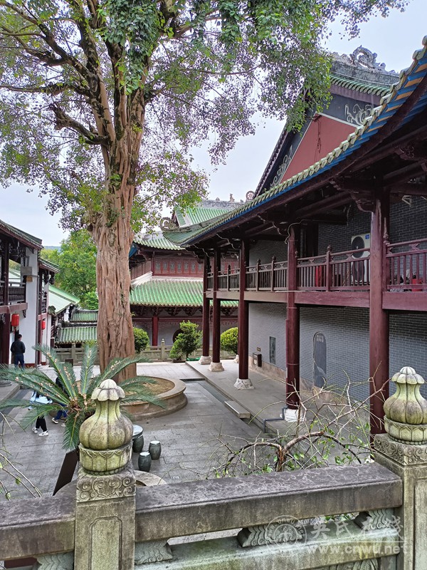 凯旋回程 亲情满途 凯旋回程 亲情满途