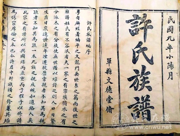 有哪些方法可以让家谱看起来更有趣