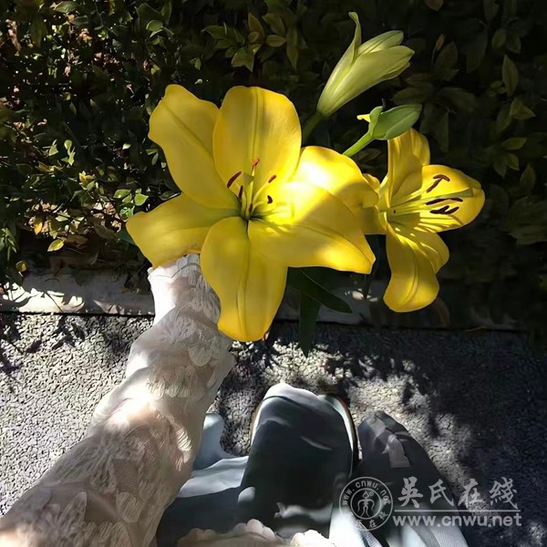 “爱你老己”：2025年末爆火的热梗，藏着一代人的自我救赎