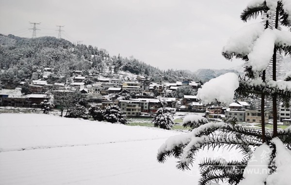 大寒冰封土司城的守望者 大寒冰封土司城的守望者
