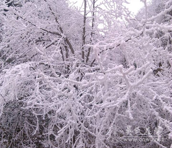 七绝•雪霁 七绝•雪霁