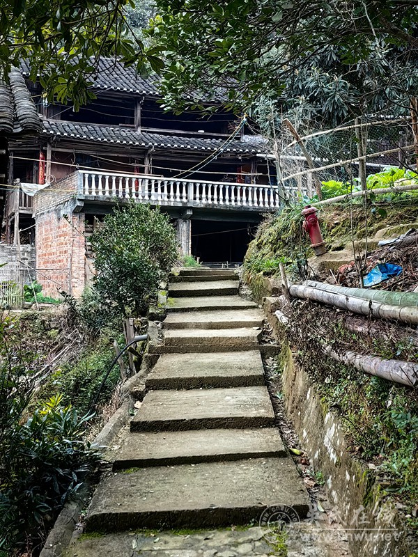 为何非要回老家过年? 为何非要回老家过年?