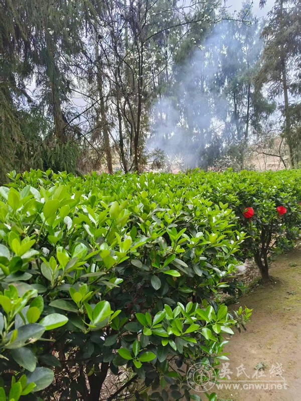 真的，别再逼i人变e了