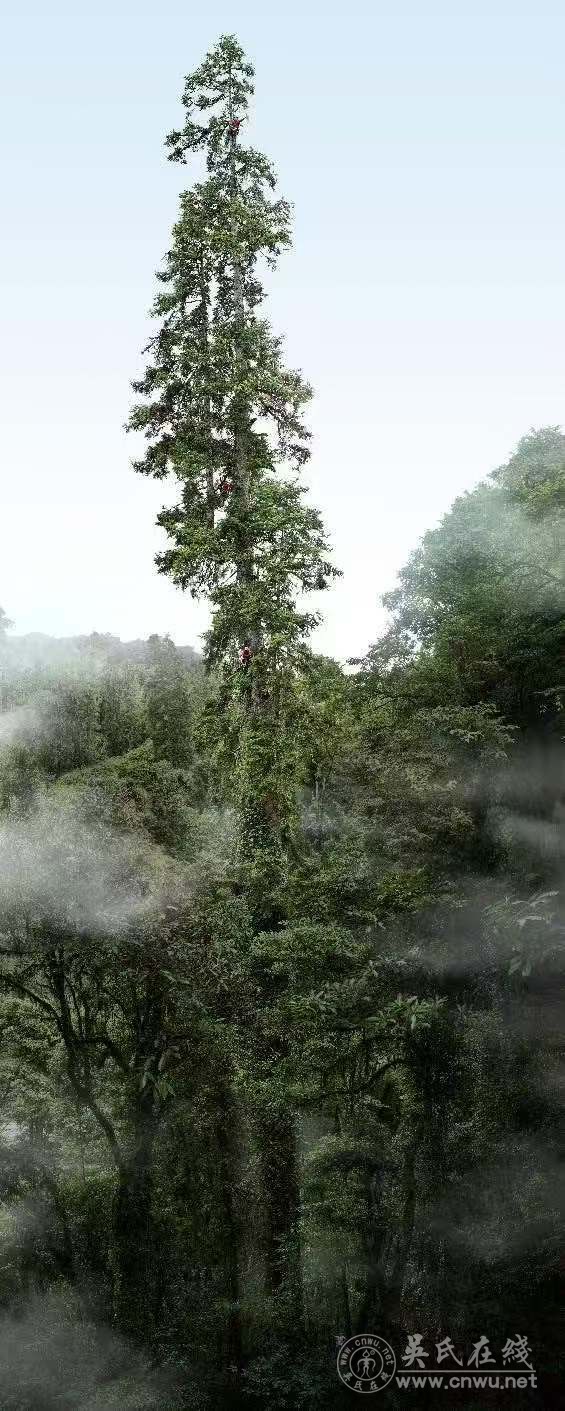 脚步丈量江山纪 安徽祁门 脚步丈量江山纪 安徽祁门