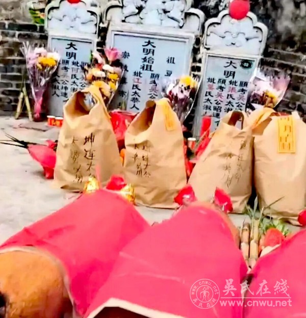 吴氏宗亲齐聚黄圃 三年祭祖传承家风