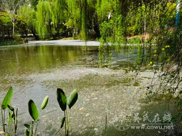春雨（外两首）