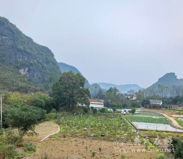 从篪公生平探其生年