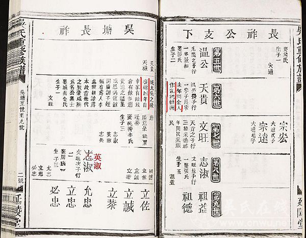 答来自吴世万族系信息问