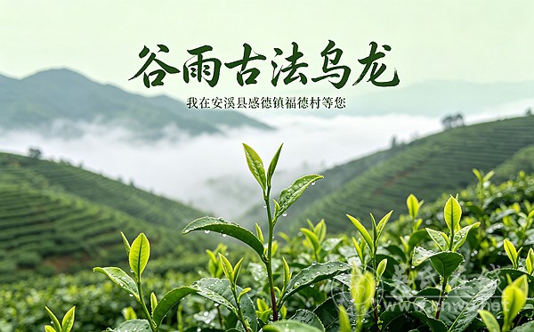 谷雨帖：福德村的古法乌龙告白书