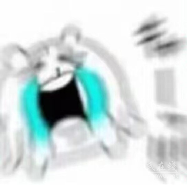 魔都生活见闻录一