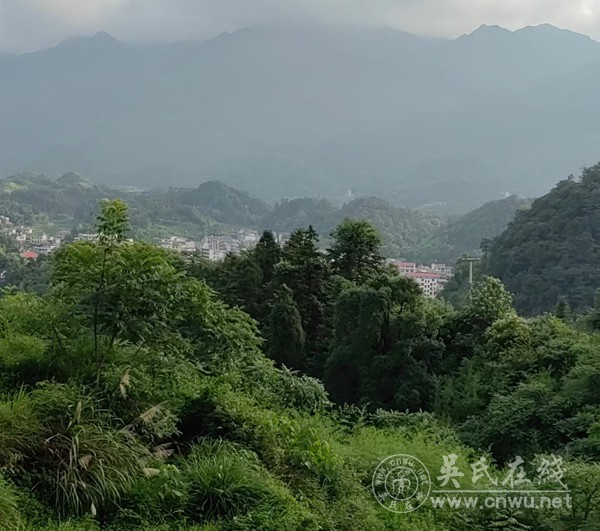 端阳公卫行